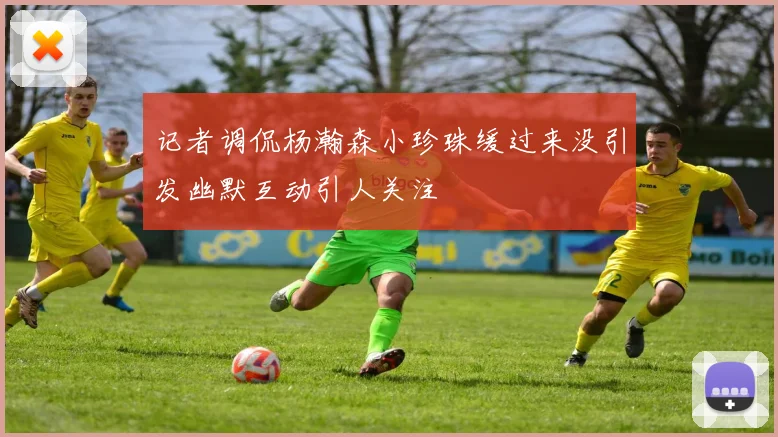 记者调侃杨瀚森小珍珠缓过来没引发幽默互动引人关注