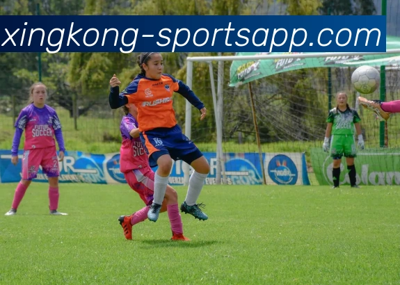 星空足球服务体系