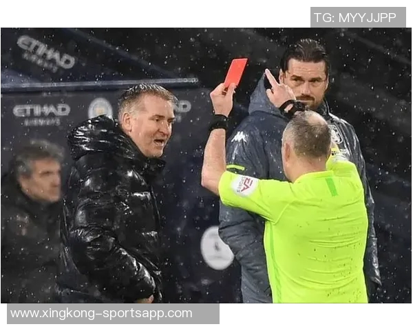 张玉宁呼吁理性对待球员表现球迷情绪发泄应有度